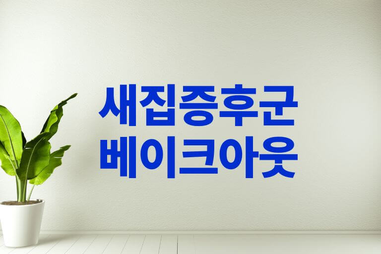 새집증후군 베이크아웃