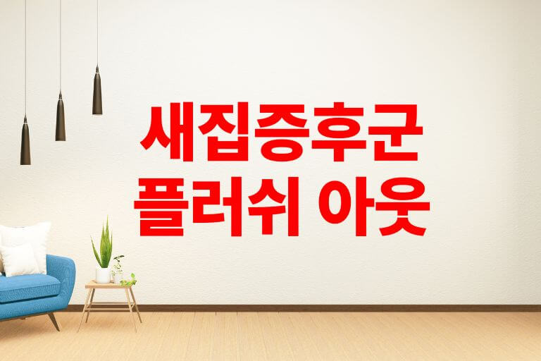 플러쉬 아웃 따라하기 새집 증후군 확실히 제거!