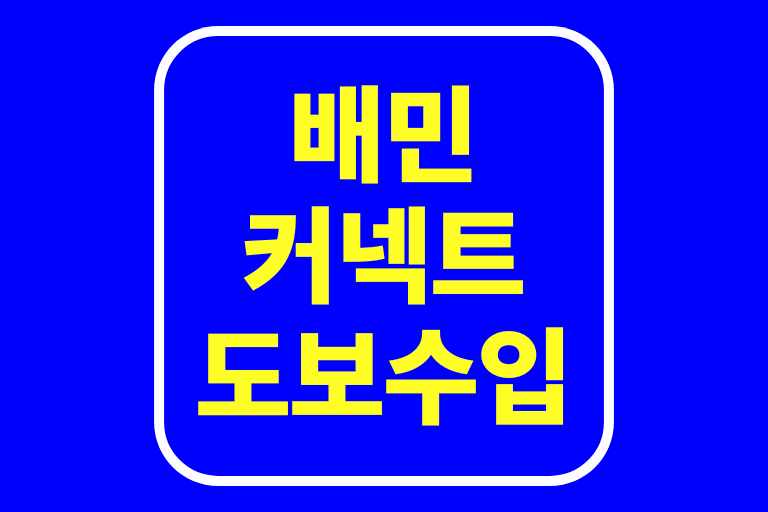 배민 커넥트 도보 수입