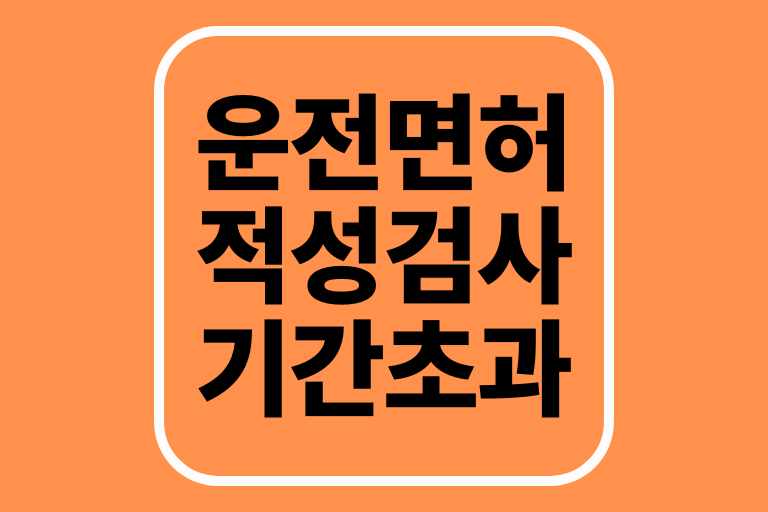 운전면허 적성검사 기간 초과