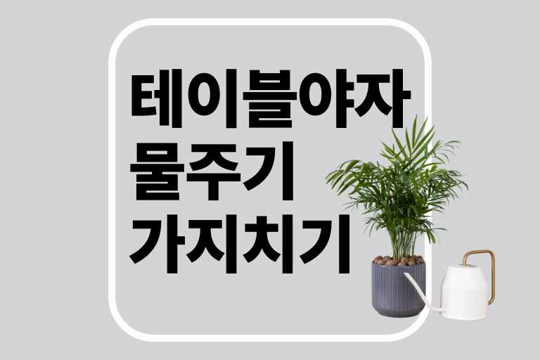 테이블 야자 물주기 가지치기 키우는법 환경